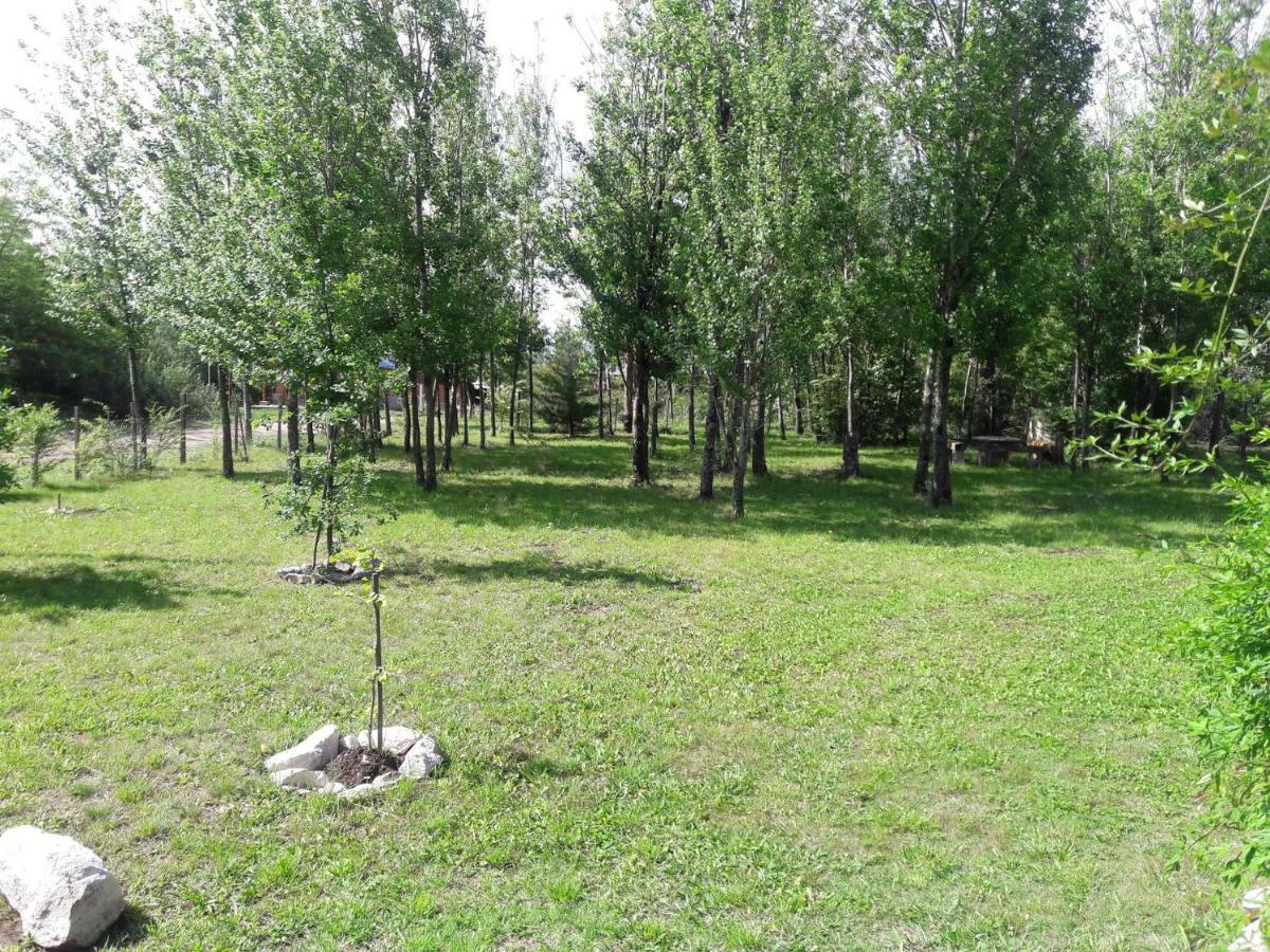 ויז'ה יקאנטו Cabanas Vientos Del Sur מראה חיצוני תמונה